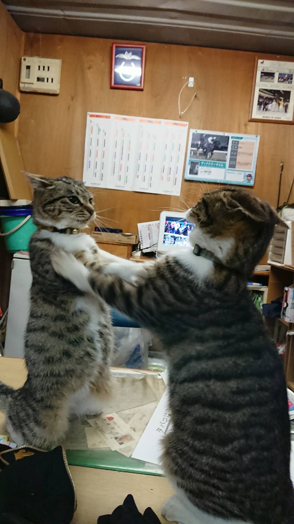 ファイル 57-1.jpg